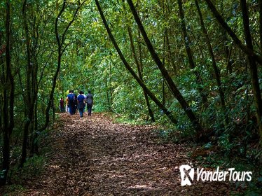 La Tigra National Park Day Tour From Tegucigalpa