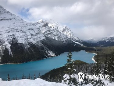 Lake Louise and Icefield Parkway Sightseeing Full-Day Tour