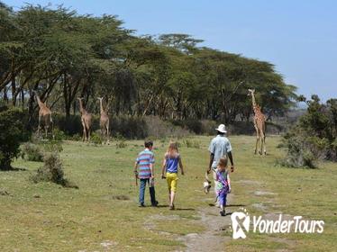 Lake Naivasha Walking with Animals Day Trip From Nairobi