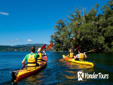 Lake Rotoiti Hot Pools and Glowworm Cave Kayak Tour from Rotorua