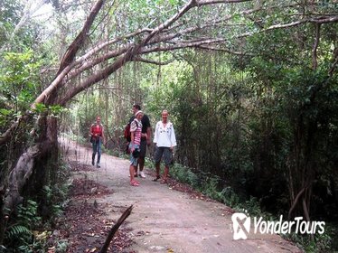 Lan Ha Bay and Viet Hai Village Trekking and Kayaking Day Trip from Cat Ba Island