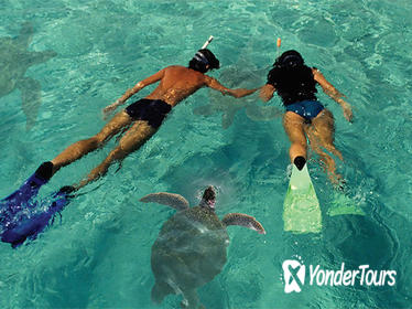 Lanai Island Dolphin and Snorkel Cruise from Maui Lanai Island Dolphin and Snorkel Cruise from Maui