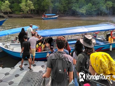 Langkawi Mangrove Forest and Cave Exploring Tour