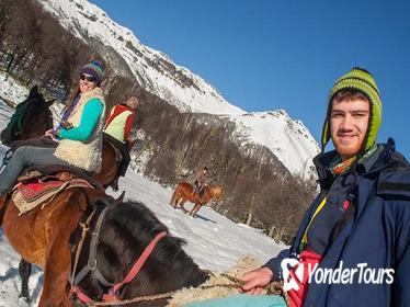 Lanin National Park Horseback Riding Tour: Quila Quina Valley and Mapuche Culture