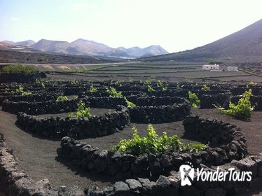 Lanzarote Flavors