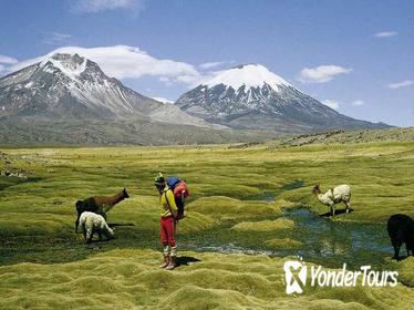 Lauca National Park and Chungara Lake from Arica