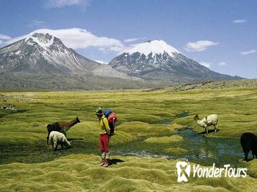 Lauca National Park and Chungara Lake from Arica