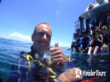 Learn to Scuba Dive on the Great Barrier Reef: 4-Day PADI Open Water Dive Course