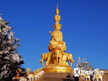 Leshan Giant Buddha and Emei Mountain Train 2-Day Tour