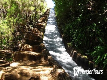 Levada do Alecrim