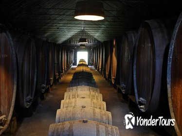 Lisbon Wine Tasting Private Tour of the Setubal Region