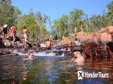 Litchfield and Jumping Crocodiles Full Day Trip from Darwin