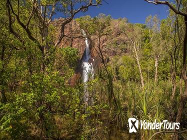Litchfield National Park Day Tour from Darwin
