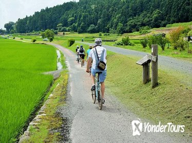 Local Cooking and Cycling Tour: Beautiful Takashima Biwa Lake and Rice Terraces