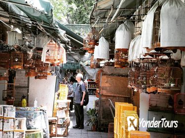 Local Markets Hopping Tour in Hong Kong