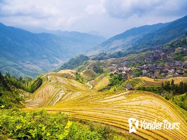 Longji Rice Terraces and Pingan Zhuang Village Day Tour