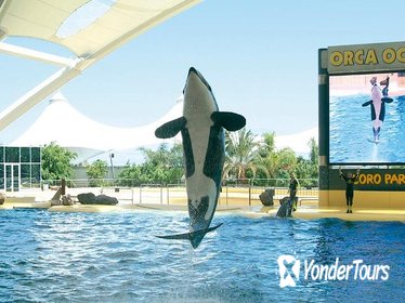 Loro Park and Siam Park Twin Ticket with Transfer to Loro Park