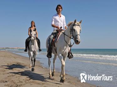 Los Cabos Horseback Riding