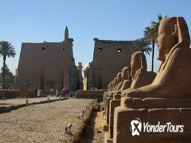 Luxor by Plane One Day Tour from Dahab