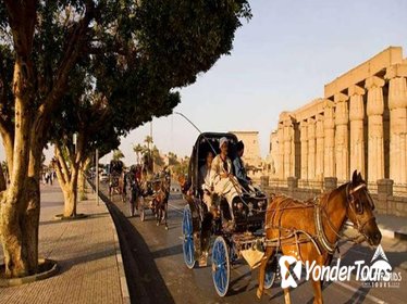 Luxor City Tour By Horse Carriage