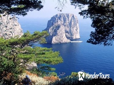Luxury Day trip to Capri from Rome