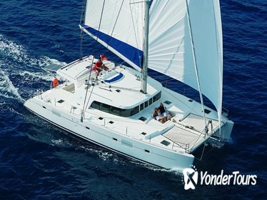 Luxury Dolphin Sail and Kona Snorkel