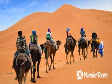 Luxury Private 4-Day Camel Trekking and Kasbah Trail from Marrakech