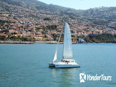 Madeira Dolphin and Whale Watching on a Luxurious Catamaran