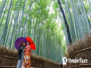 Magical Arashiyama Tour with Bamboo Grove