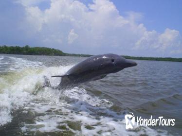 Manatee Ecotour and Shelling Adventure