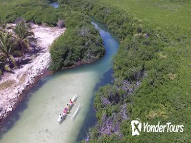 Mangrove Kayak Ecotour from Galion Beach