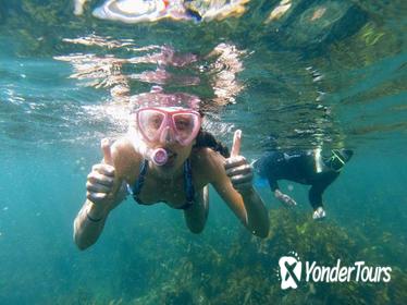 Manly Snorkeling Tour and Nature Walk