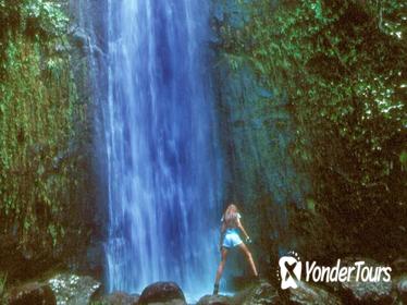 Manoa Waterfall Small Group Adventure