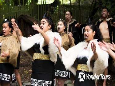 Maori Experience including Hangi Dinner and Guided Kiwi Tour