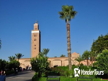 Marrakech City Highlights Half-Day Tour