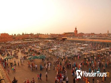 Marrakech Highlights: Guided Day Tour