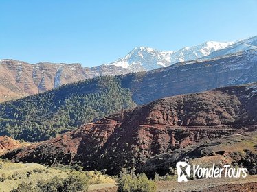 Marrakech to Imlil Valley Tour with Lunch and Guided Trek