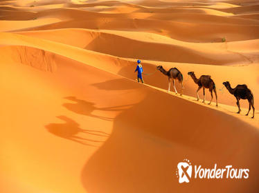 Marrakech to Merzouga small group shared Desert tour Marrakech to Merzouga small group shared Desert tour