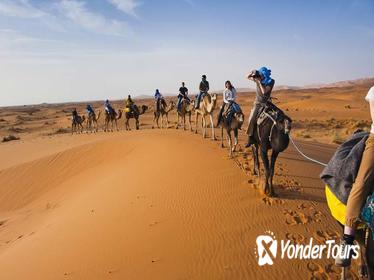 Marrakech to Zagora Desert tour