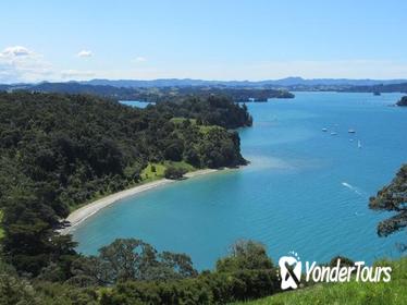 Matakana Coast and Country Tour