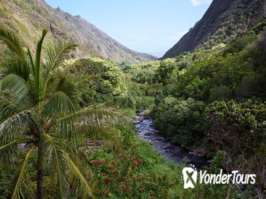 Maui Day Trip: Haleakala, Iao Valley, Old Lahaina from Oahu