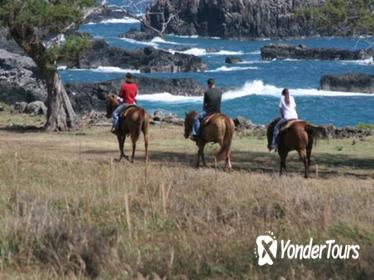 Maui Horseback-Riding Tour Maui Horseback-Riding Tour