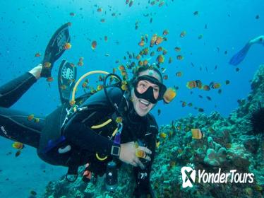 Maui Scuba Diving Introductory Lesson