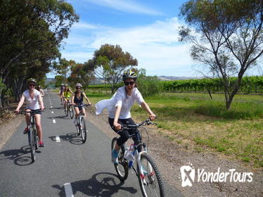 McLaren Vale Wine Tour by Bike