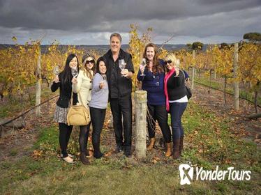McLaren Vale Winery Small Group Tour from Adelaide, Wine Tasting and Lunch