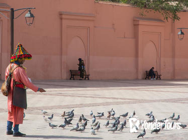 Medina of Marrakesh walking tour
