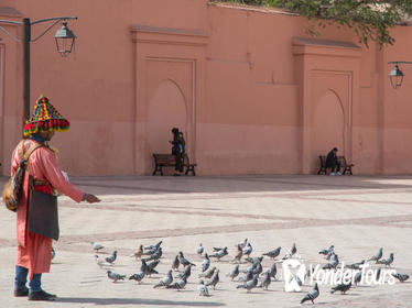 Medina of Marrakesh walking tour