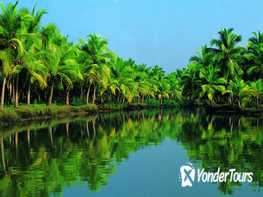 Mein Schiff 5 Special Kochi Shore Excursion: Backwater Houseboat Tour and Fort Kochi