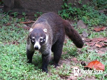 Metropolitan Natural Park Tour in Panama City