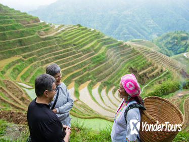 Mini Group Day Tour: Longji Rice Terraced Fields and Minority Villages Tour